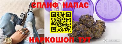 ПСИЛОЦИБИНОВЫЕ ГРИБЫ Гатчина