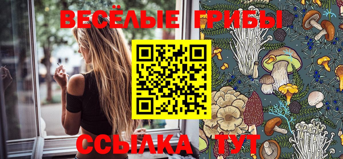 Галлюциногенные грибы мицелий  Вход с VPN  Нурлат  Псилоцибиновые грибы Magic Shrooms 
